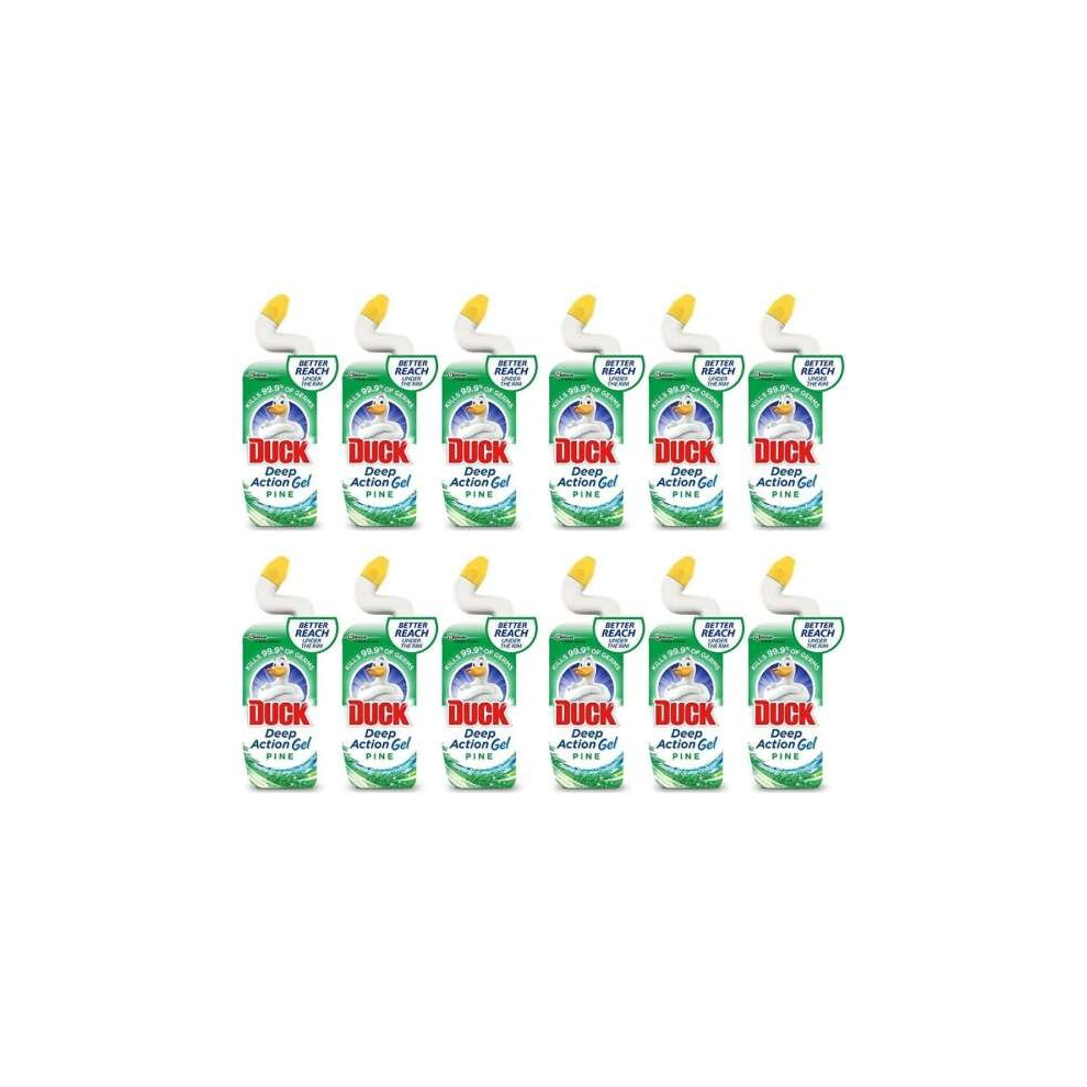 Duck 5In1 Liquid Fresh Pine - 750Ml (Pack of 12)