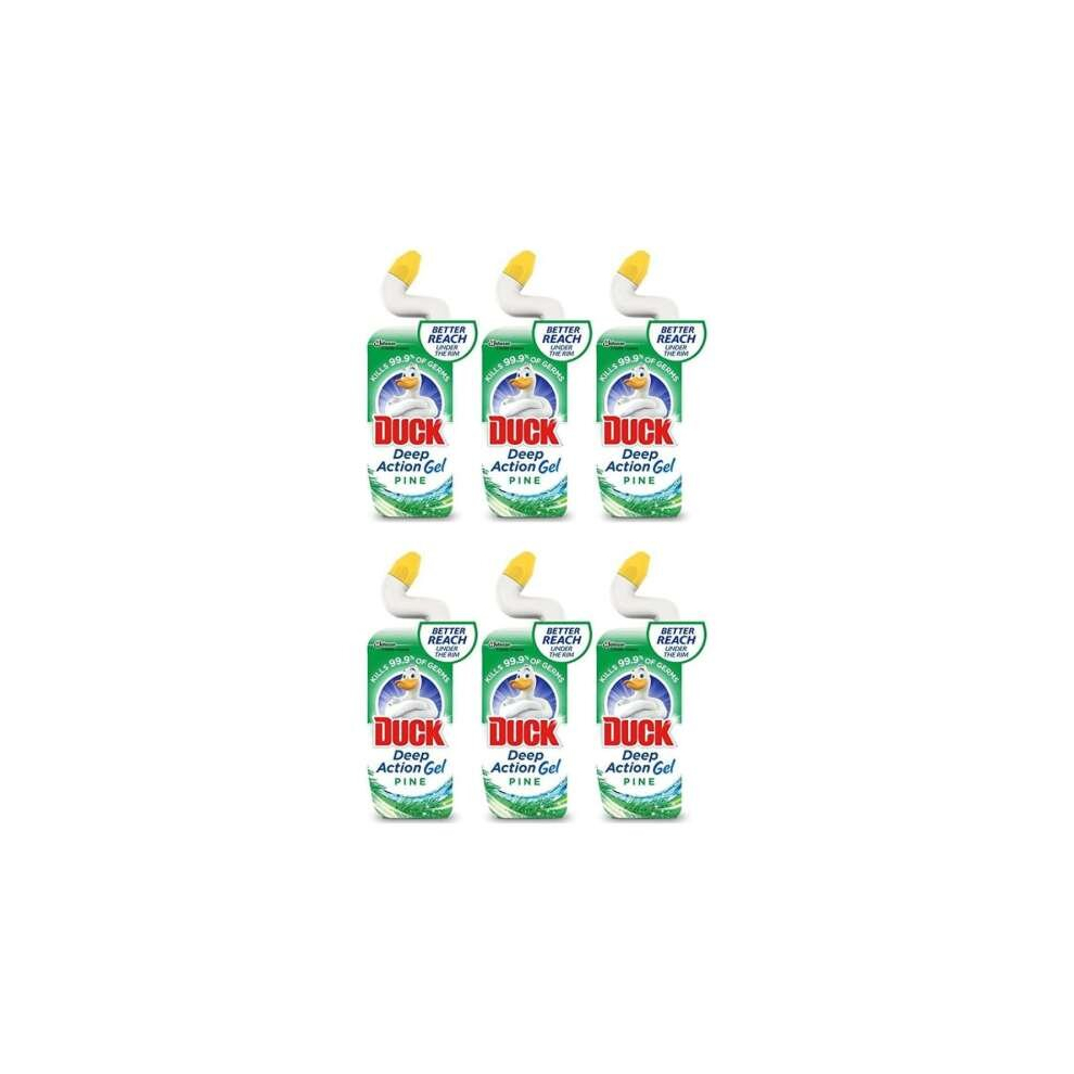 Duck 5In1 Liquid Fresh Pine - 750Ml (Pack of 6)