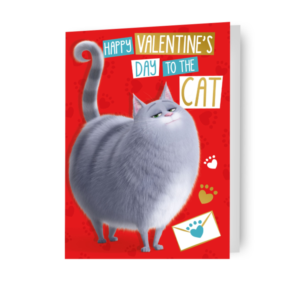 Secret Life of Pets 'From the Cat' Valentine's Day Card