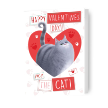 The Secret Life of Pets "From the Cat" Valentine's Day Card
