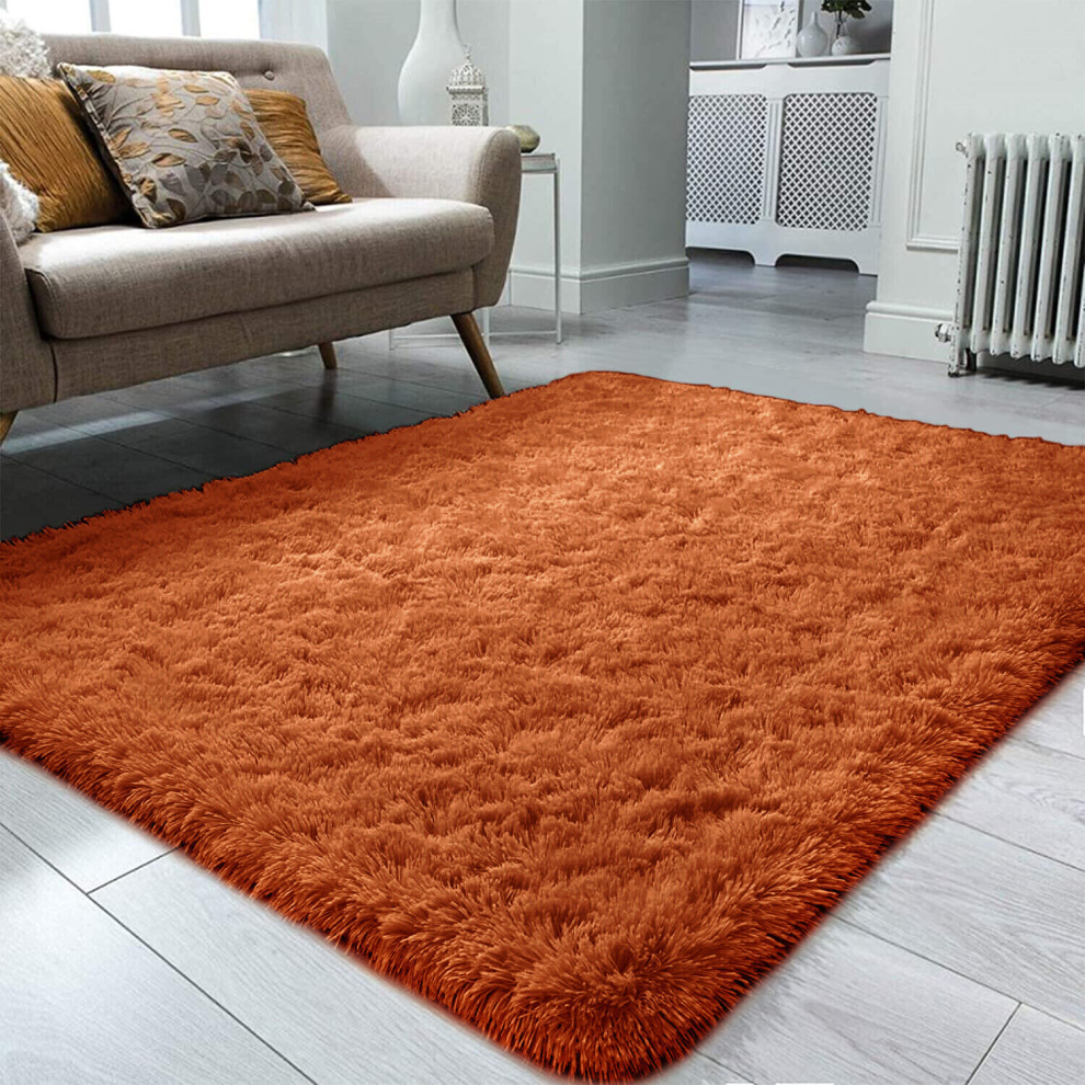 (Rust , 120X170) Non Slip Rugs Shaggy Carpet Living Room Area Rug