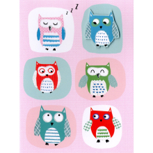 Colourful Owls Any Occasion Greeting Card Second Nature Yours Truly Cards