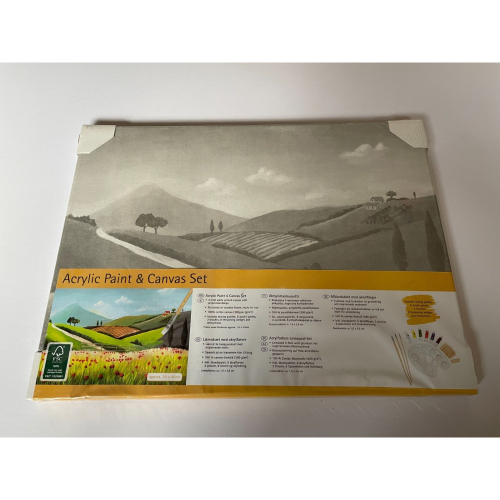 Landscape Acrylic Paint and Canvas Set (R)