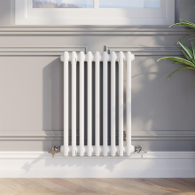 Traditional Colosseum Horizontal Double Bar Column Radiator 600x425mm White