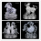 (Gemini) Blocks Constellation 3D Crystal Puzzles With LED Lights 41 PCS 2