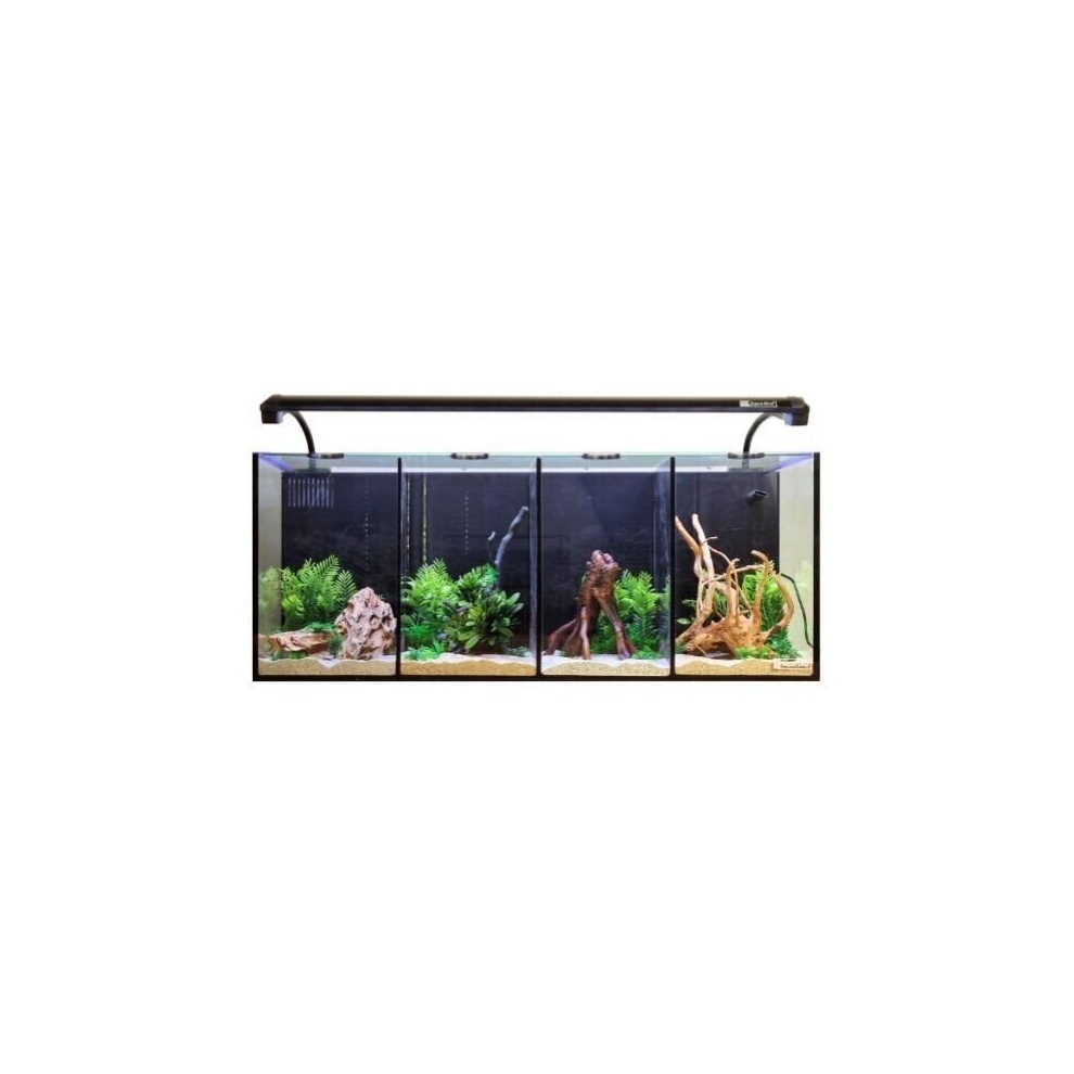 Aqua One Betta Quad Aquarium