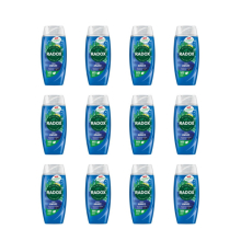 Radox Feel Awake for Men 2in1 Shower Gel 225ml (Pack of 12)