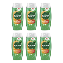 Radox Feel Refreshed 2in1 Shower Gel, 225ml (Pack of 6)
