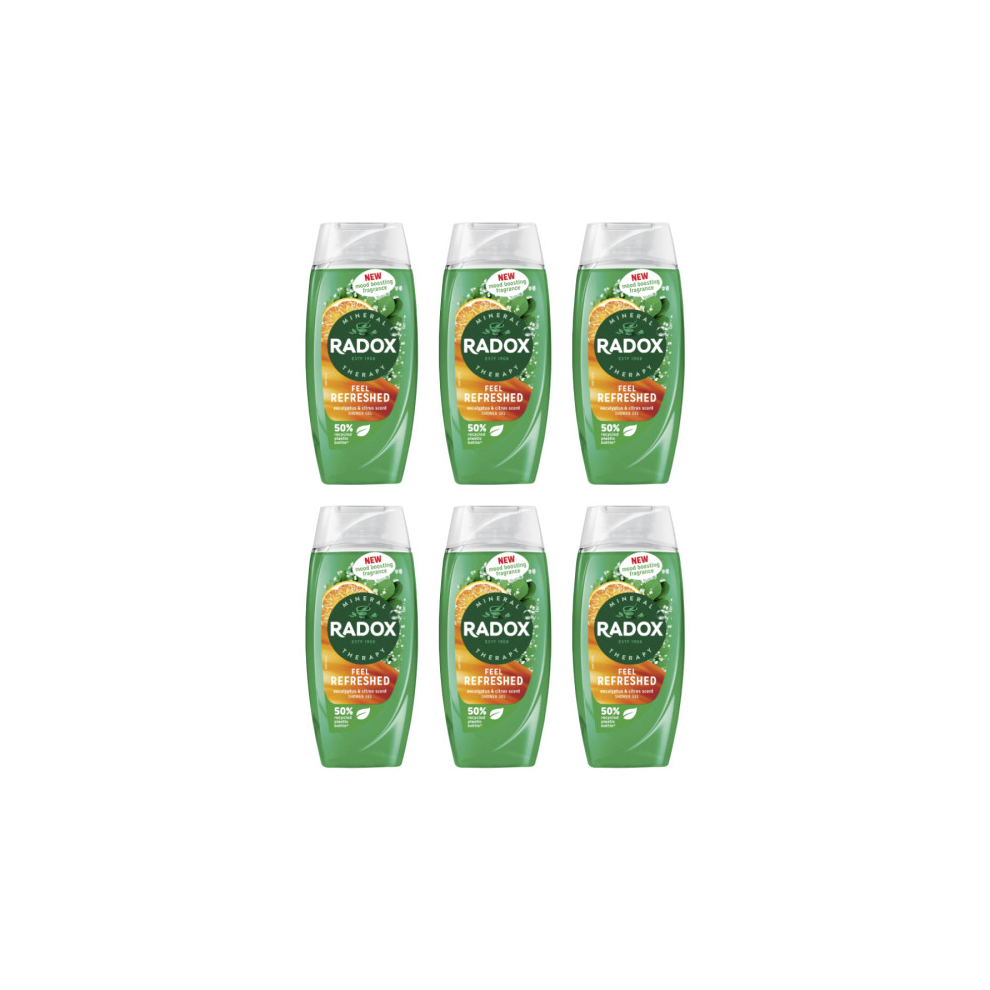 Radox Feel Refreshed 2in1 Shower Gel, 225ml (Pack of 6)