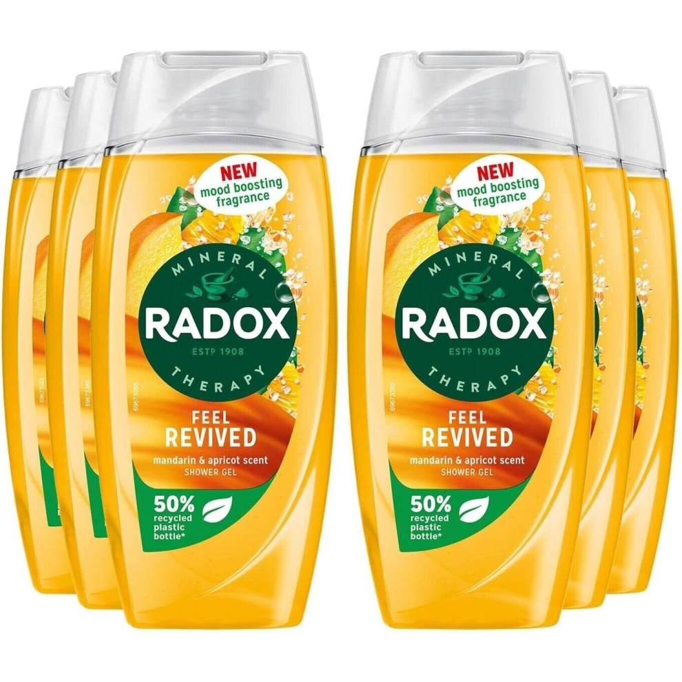 Radox Mineral Therapy Feel Revived Shower Gel 225ML (Pack of 6)