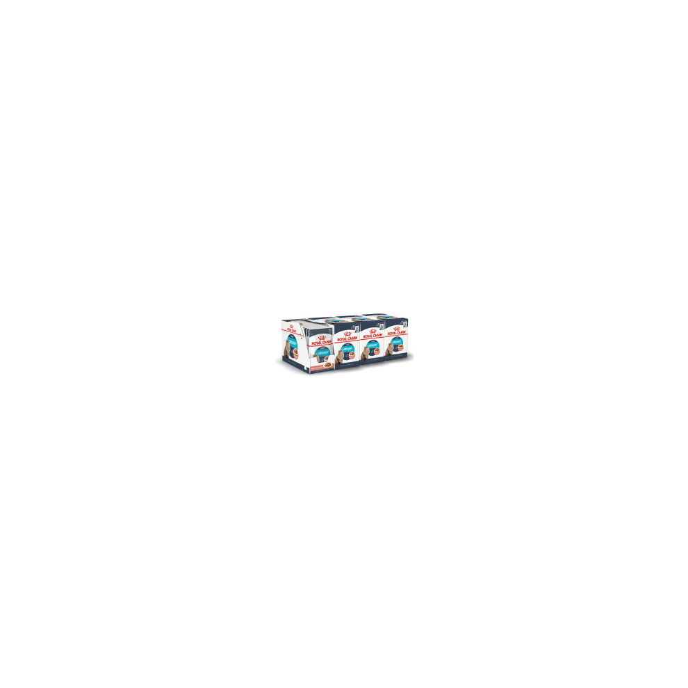 Royal Canin Wet Cat Food Urinary Care Food Pouch 48 X 85G
