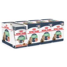 Royal Canin Digestive Care Wet Cat Food in Gravy Pouches 48 x 85 g – Highly Digestible, Supports Urinary Health
