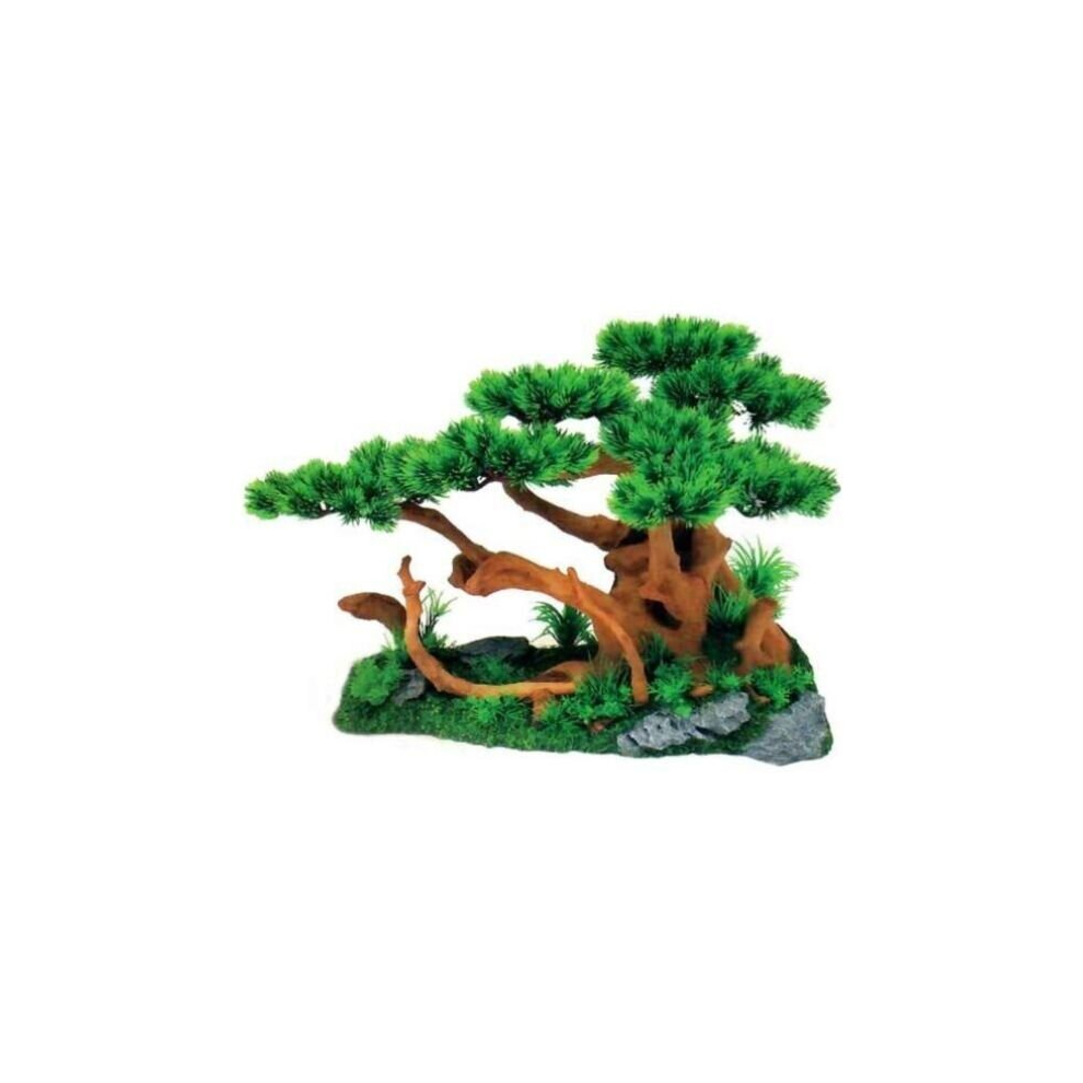 Aqua One Bonsai Tree On Rock Garden