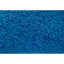 (Electric Blue) Guard HF - Hammer Finish