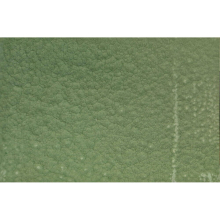 (Pale Green) Guard HF - Hammer Finish