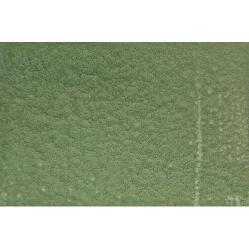 (Pale Green) Guard HF - Hammer Finish