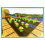 Minecraft Wonderful World Sticker Collection Classic Tin 4