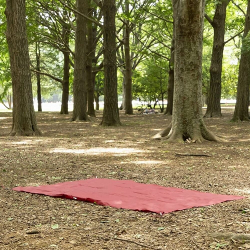 MSR Universal Tent Footprint 3 Regular 2