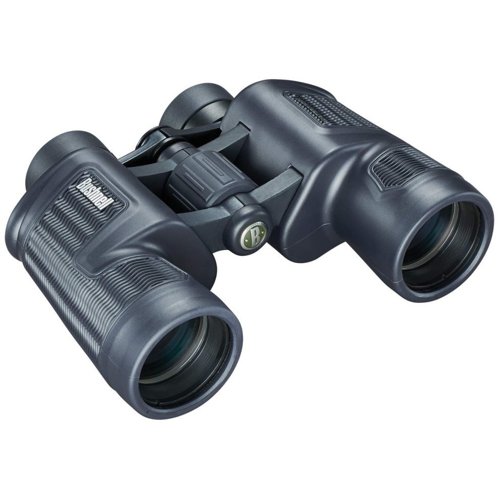 Bushnell H2O Waterproof/Fogproof Porro Prism Binocular, 8 x 42-mm, Black