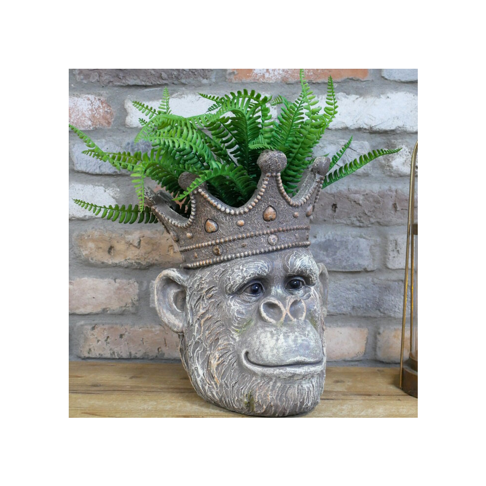 Gifts Direct 2 U Decorative Plant Pot Resin Planter Gorilla King Animal Head Garden