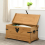 Seconique Seconique Corona Mexican Pine Single Storage Chest 8
