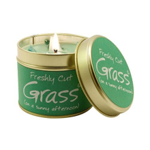 Lily Flame Cut Grass Tin, Green, l x 7.7cm w x 6.6cm h