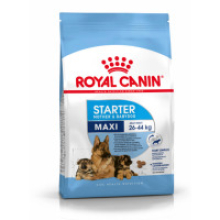 Royal Canin Maxi Starter Mother & Babydog Complete & Balanced Diet 4kg