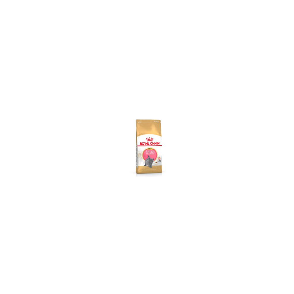 Royal Canin British Shorthair Kitten Healthy Muscles Strong Bones 10Kg