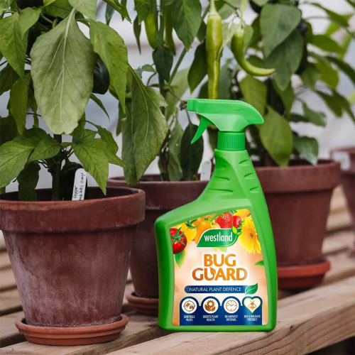 Westland Westland Bug Guard RTU Improves Plant's Natural Defences, 800ml 1