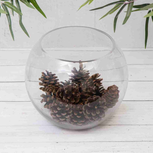 Clear Glass Round Fish Bowl - 20cm