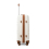 12+20 inch Cream Color ABS 4 Wheel Suitcase Set With Vanity Case 13