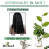 Difeel Rosemary and Mint Root Stimulator with Biotin 2.5 oz 3