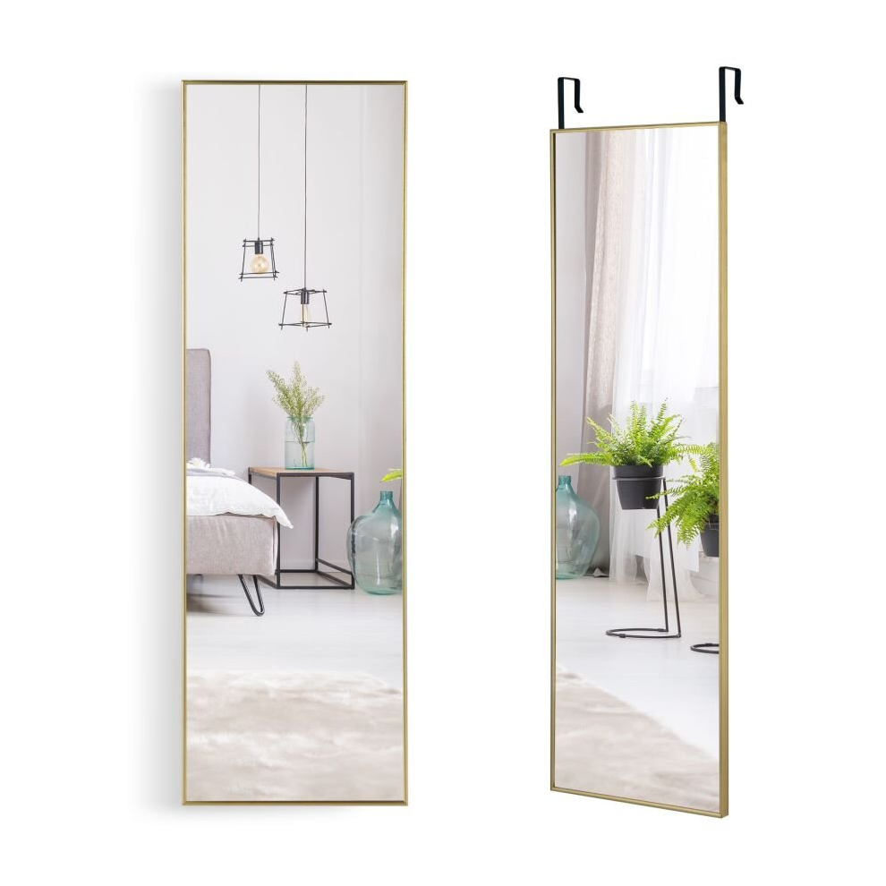 Full Length Mirror Over the Door/Wall Mounted Dressing Mirror Metal Framed