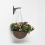 Homescapes Homescapes Brown Cast Iron Large Hanging Basket Hook 5