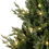 Habitat 6ft Pre lit Upswept Mixed Tip Christmas Tree 3