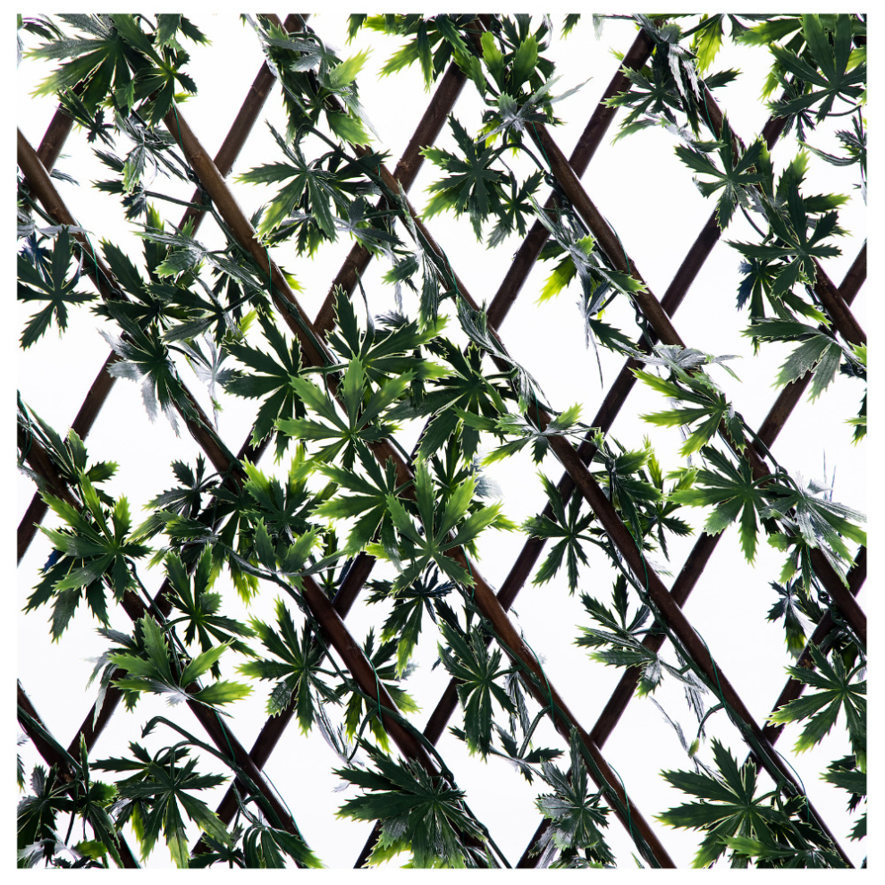 Arkmat Expanding Wooden Trellis Privacy Screen - 200Cm X 100Cm - Garden Balcony Fence - Maple