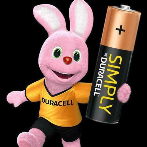 Duracell Duracell Simply AA Batteries, 24 Pack 2