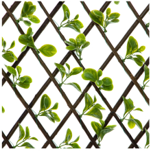 Expanding Wooden Trellis Privacy Screen - 200cm x 100cm - Garden Balcony Fence - Jade
