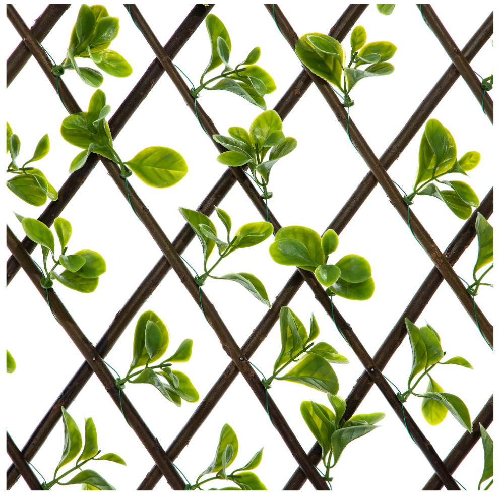 Arkmat Expanding Wooden Trellis Privacy Screen - 200Cm X 100Cm - Garden Balcony Fence - Jade