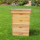 Actiasbee Langstroth Beehive in Cedar with Flat roof 10