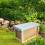 Actiasbee National Nucleus Beehive Pine 5 Frame Nuc 7