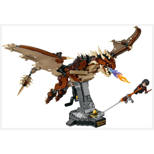 Hungarian Horntail Dragon 1