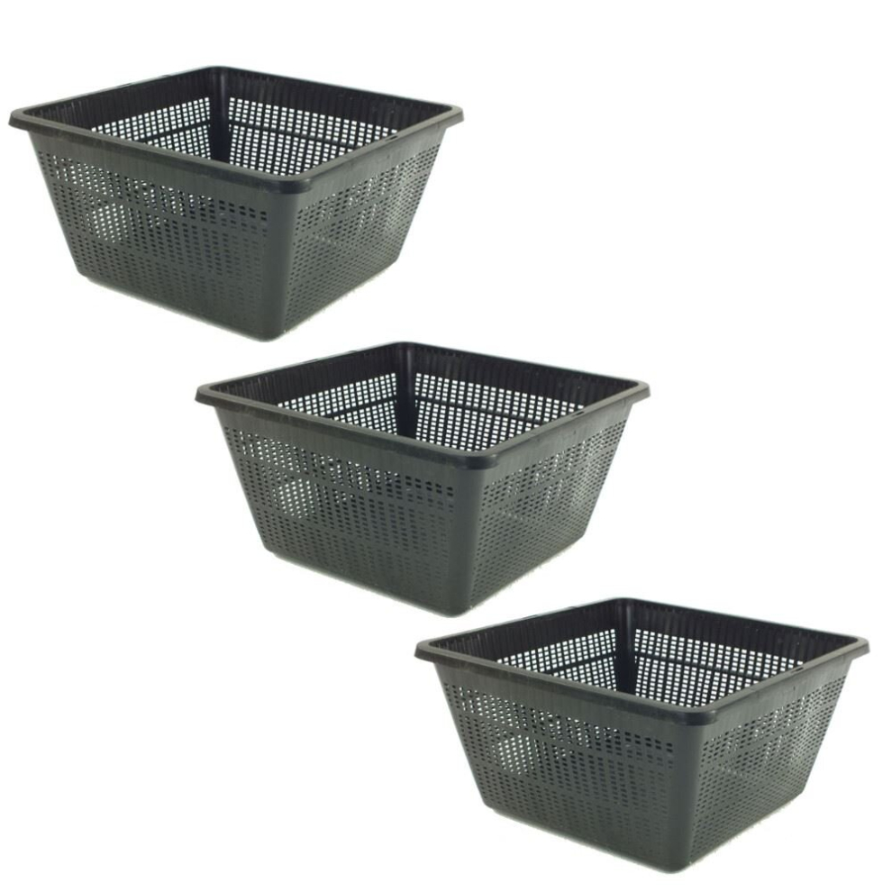 (6 (M) 23x23x13cm) Pisces Square Pond Planting Baskets 11/19/23/35cm