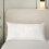 Homescapes Homescapes Wool Filled King Size Cosy Sleeper Pillow with Cotton Case - Soft/Medium 6