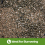 Swell Reptile Tortoise Soil Substrate 10 Litres 8