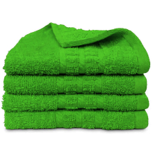 (Green) 4 X Luxury Face Cloths -600 GSM- Premium Egyptian Cotton Flannel Wash Cloth Towel Set for Gym, Spa (30X30CM)