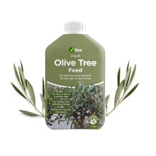 Vitax Olive Tree Liquid Feed 1L - Seaweed-Enhanced, Dilutable Plant Food for Olive Trees (Up to 225L)