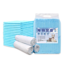 40x coussinets d'entraînement pour chien chat absorbant intérieur chiot toilette pipi Pad 60x60cm