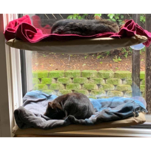 Cat Window Mounted bed Seat Pets Sunny Hammock Cover Washable 1