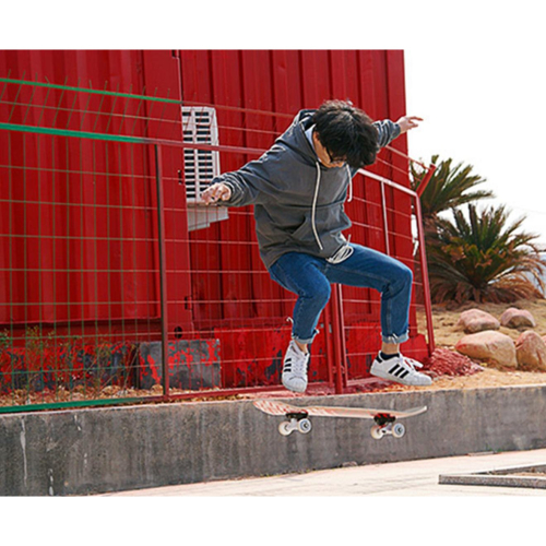 Πλήρες Skateboard 31 ιντσών Maple 4-Wheel για αρχάριους - 7# 1